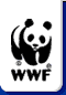 organizacion Panda Internacional