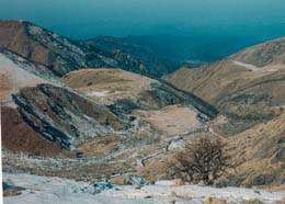 Curso Superior del Rio Pavas, en invierno