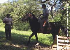 Prueba de Equitacion